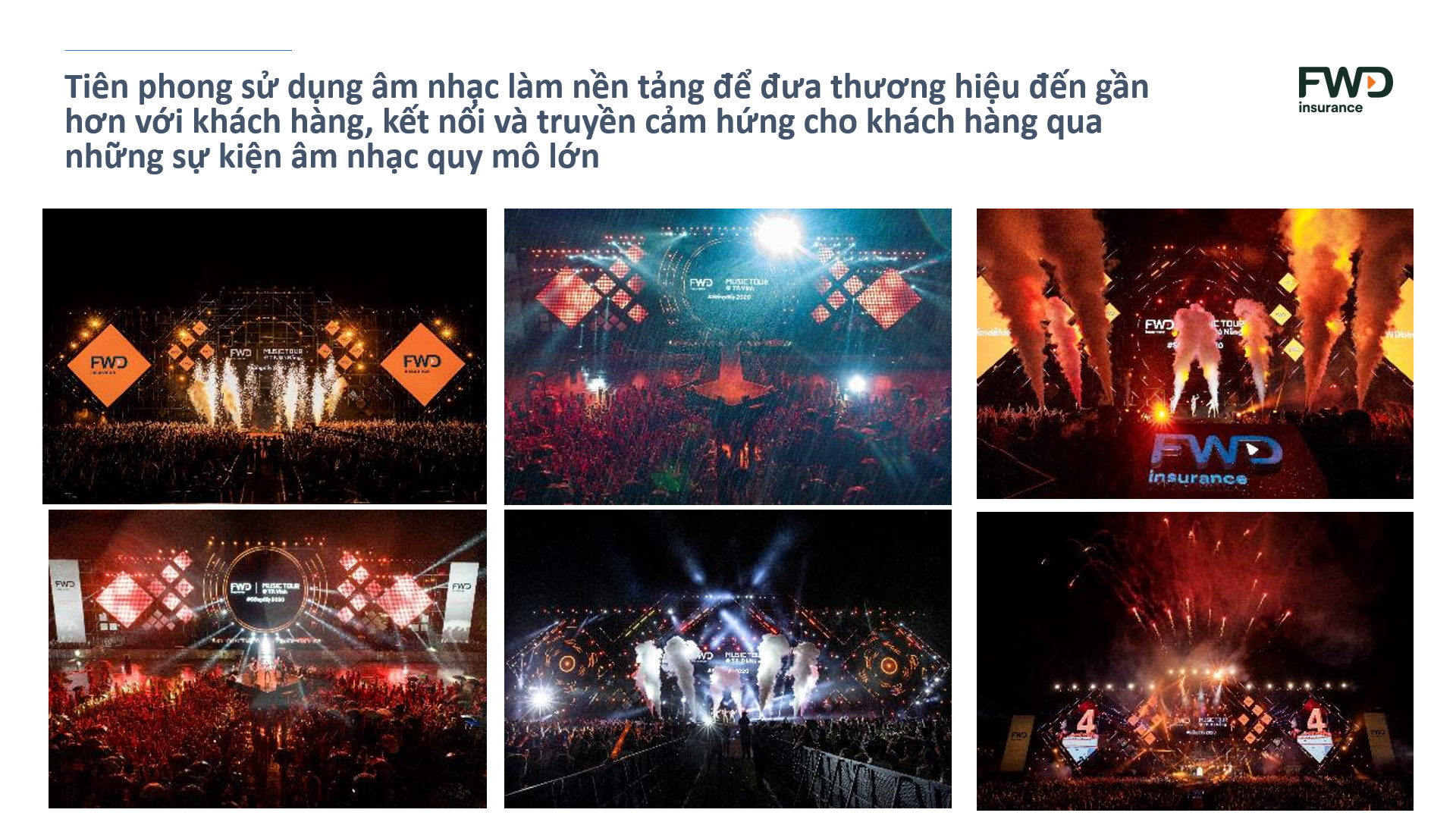 lĩnh vực hoạt động